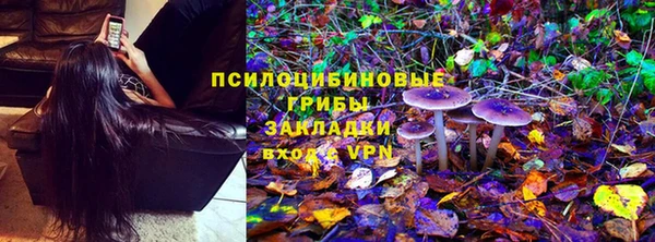 apvp Алексеевка