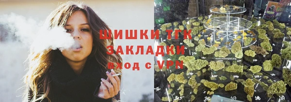 сатива Абинск