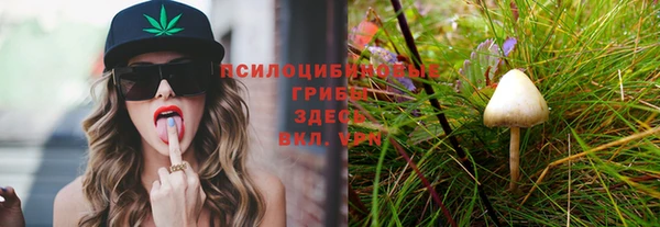 apvp Алексеевка