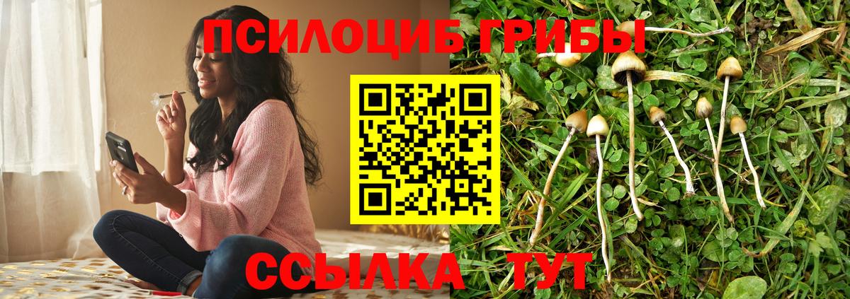 Псилоцибиновые грибы мицелий Топки