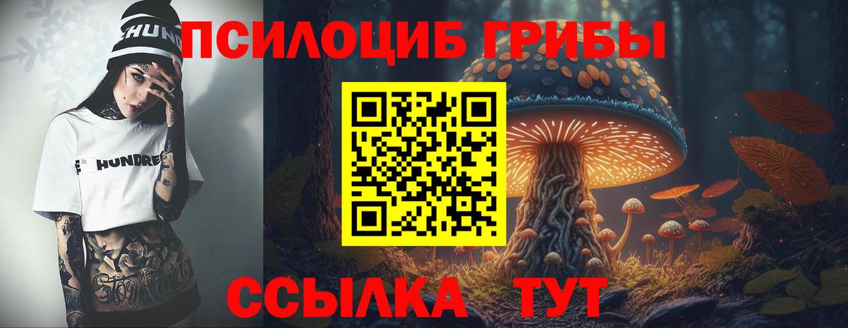 где можно купить   Вход с VPN  Топки  Псилоцибиновые грибы Magic Shrooms 